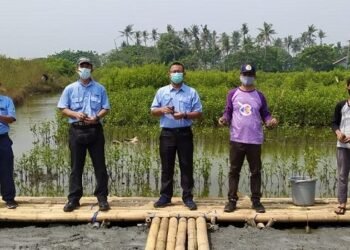 Turut Selamatkan Ekosistem Pantai, IKPP Tangerang Tanam 100 Ribu Bibit Mangrove