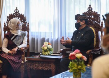 Bertemu Wagub Bali, Stafsus Angkie Bahas Prioritas Vaksinasi Bagi Penyandang Disabiltas 