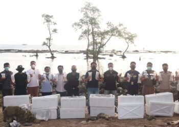 DITPOLAIRUD POLDA BANTEN UNGKAP DAN LEPAS LIARKAN LAGI 90.000 LOBSTER KE LAUT SERANG