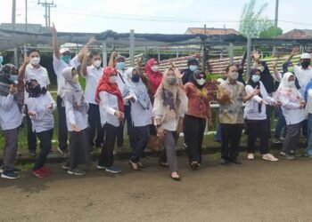 Pelatihan Hidroponik Angkatan Ketiga PT Indah Kiat Tangerang Diikuti Puluhan Peserta