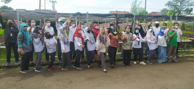 Pelatihan Hidroponik Angkatan Ketiga PT Indah Kiat Tangerang Diikuti Puluhan Peserta
