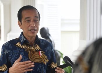 Presiden: Kritik Mahasiswa UI Bentuk Ekspresi di Negara Demokrasi