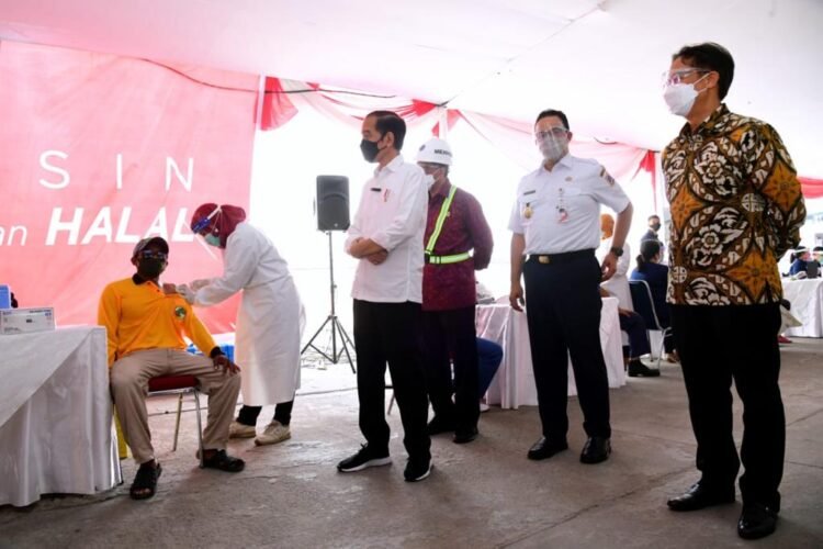 Tinjau Vaksinasi Massal di Pelabuhan Sunda Kelapa, Presiden: Terus Laksanakan dengan Jumlah Lebih Banyak