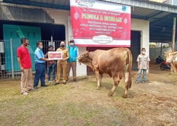 Idul Adha 1442 H, Indah Kiat Tangerang Serahkan Puluhan Hewan Kurban