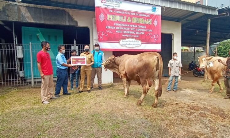 Idul Adha 1442 H, Indah Kiat Tangerang Serahkan Puluhan Hewan Kurban