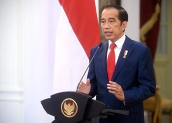 Empat Pandangan Presiden Jokowi Terkait SDGs pada Forum Tingkat Tinggi Dewan Ekonomi Sosial PBB