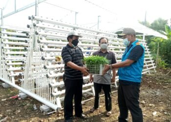 Indah Kiat Tangerang Kembali Serahkan Bantuan Alat Hidroponik dan Budidaya Lele