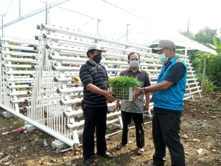 Indah Kiat Tangerang Kembali Serahkan Bantuan Alat Hidroponik dan Budidaya Lele