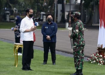 Menteri BUMN Pastikan Ketersediaan Obat Bagi Pasien COVID-19