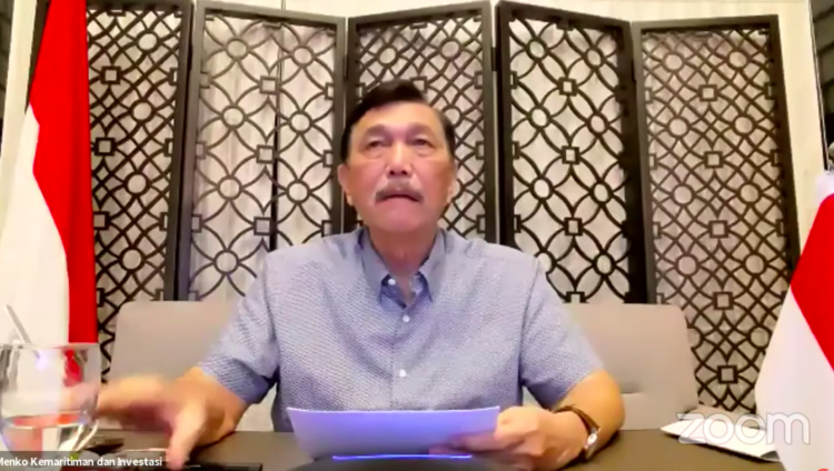 Mobilitas Menurun di Masa PPKM Darurat, Luhut: Perlu Konsistensi untuk Melandaikan Kurva Pandemi