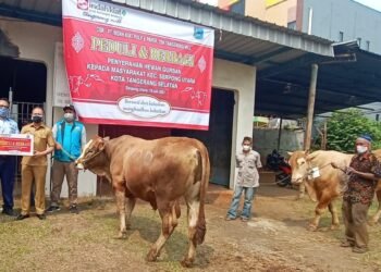 Indah Kiat Tangerang Serahkan Puluhan Hewan Kurban