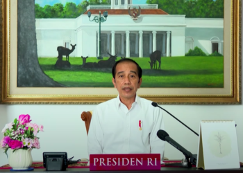 Presiden: Butuh Kepemimpinan yang Kuat di Lapangan untuk Hadapi Pandemi Ini