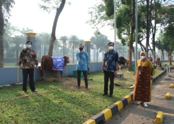 Berbagi Kebahagian, HERO Grup Salurkan Hewan Kurban untuk Masyarakat