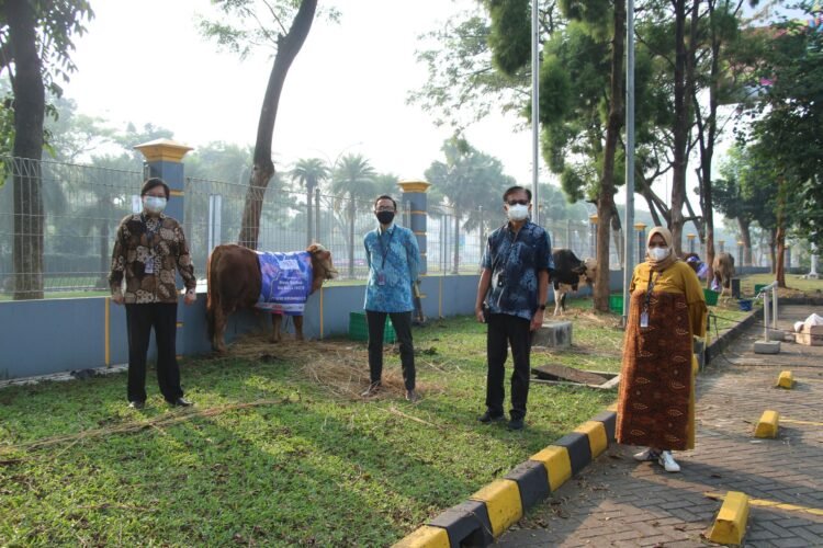 Berbagi Kebahagian, HERO Grup Salurkan Hewan Kurban untuk Masyarakat