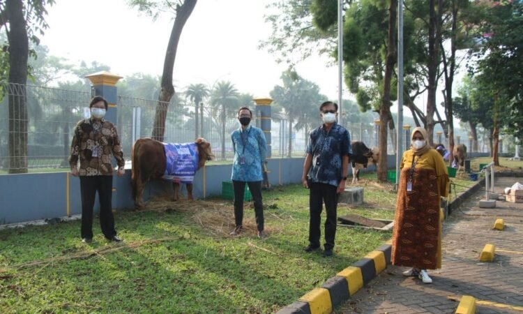 Sambut Iduladha, HERO Group Salurkan Hewan Kurban untuk Masyarakat