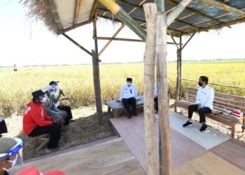 Stok Beras Surplus, Mentan: Tak Ada Impor dan PPN Sembako Umum