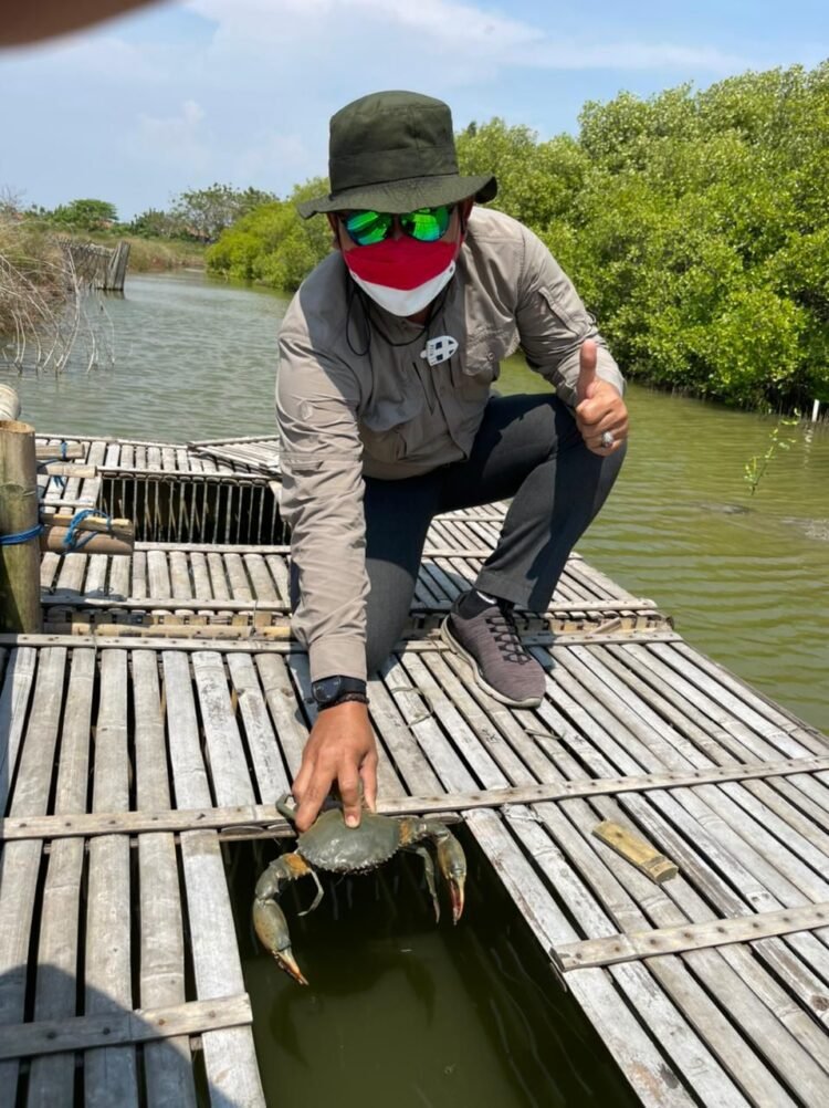 Bantu Pembudidaya Ikan Terdampak Covid-19, IKPP Tangerang Distribusikan Bantuan Kepiting Siap Telur di Pantai Utara Tangerang