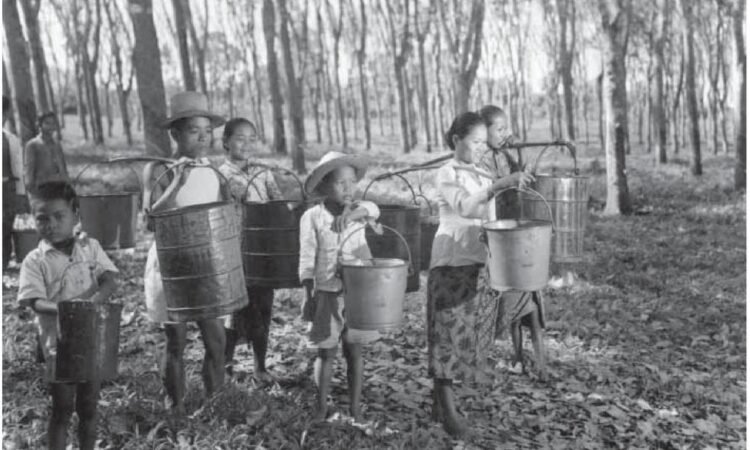 Potret Tukang Sadap Getah Karet di Serpong Tahun 1951 (Bagian 1)