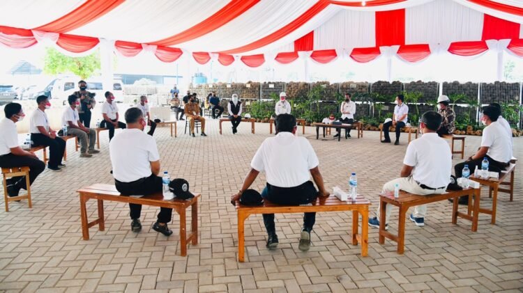 Saat Petani Milenial Cerita ke Presiden Soal Prospek Cerah Bertani Porang