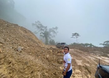 Buka Keterisolasian Wilayah, Inilah Progres Pembangunan Jalan Trans Papua