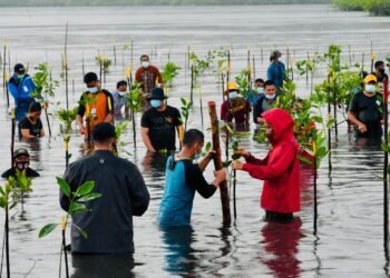 Presiden Tekankan Pentingnya Merawat dan Memelihara Hutan Mangrove di Tanah Air