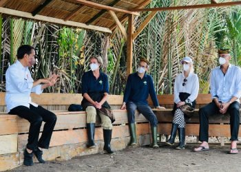 Kesan dan Apresiasi Para Dubes Ikut Tanam Mangrove Bersama Presiden