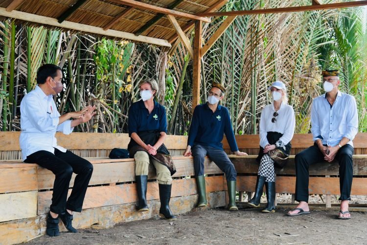 Kesan dan Apresiasi Para Dubes Ikut Tanam Mangrove Bersama Presiden
