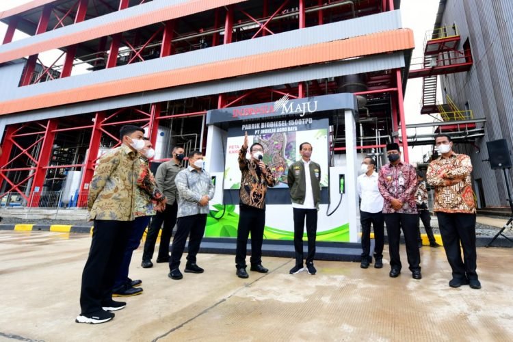 Presiden Tekankan Pentingnya Hilirisasi dan Industrialisasi Kelapa Sawit