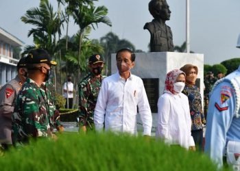 Kunjungan Kerja ke Bali, Presiden Akan Tinjau Penanaman Mangrove hingga Venue G20