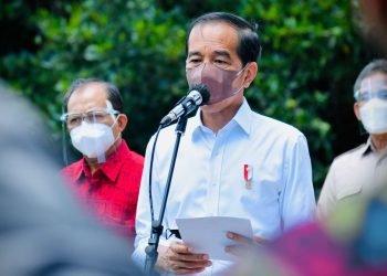 Pemerintah Akan Terus Replikasi Model Rehabilitasi Mangrove di Provinsi Lain