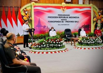 Presiden Apresiasi Penanganan COVID-19 di Bali