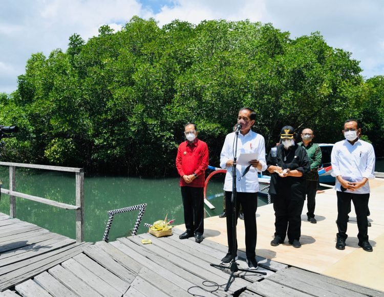 Presiden Ingin Model Rehabilitasi Mangrove di Bali Direplikasi di Provinsi Lain