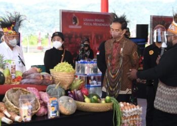 Presiden Ingin Papua Youth Creative Hub Jadi Pusat Pengembangan Talenta Papua