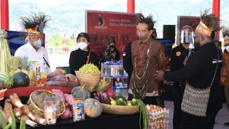 Presiden Ingin Papua Youth Creative Hub Jadi Pusat Pengembangan Talenta Papua