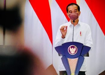 Presiden Jokowi Apresiasi Penanganan Covid-19 di Bali