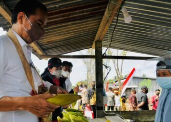 Saat Presiden Jokowi Mampir Beli Jagung di Penjual Pinggir Jalan