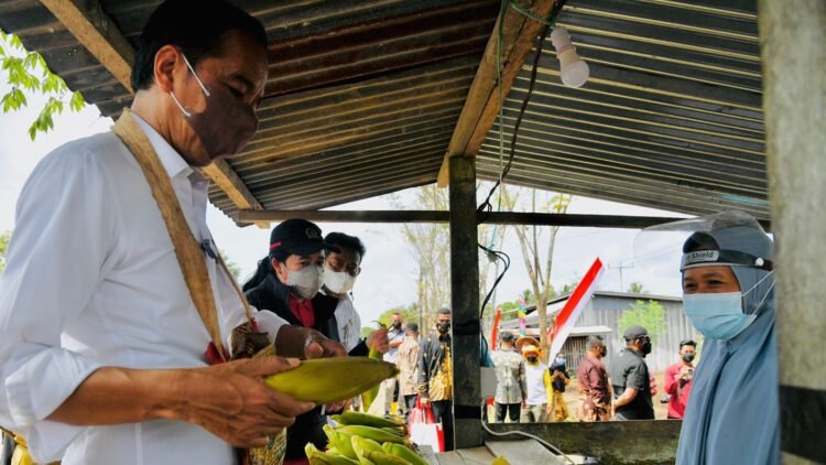 Saat Presiden Jokowi Mampir Beli Jagung di Penjual Pinggir Jalan