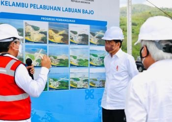 Tiba di NTT, Presiden Tinjau Aktivitas Bongkar Muatan di Terminal Multipurpose Wae Kelambu