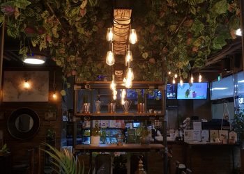 Photo by Ahalya Suresh on Unsplash