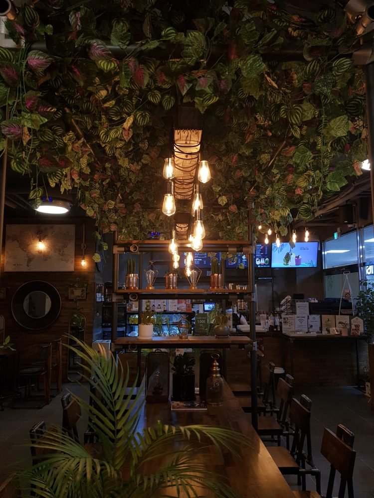 Photo by Ahalya Suresh on Unsplash