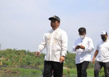 Pemkot Tangerang Siapkan 24 Ribu Lowongan Kerja di Virtual Job Fair