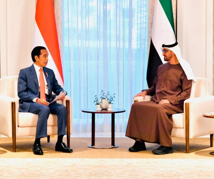 Presiden Jokowi Akan Undang Pangeran MBZ ke KTT G20 di Indonesia