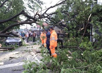 Hujan Deras Disertai Angin Kencang di Kota Tangerang, Warga Luka dan Sejumlah Kendaraan Rusak Tertimpa Pohon