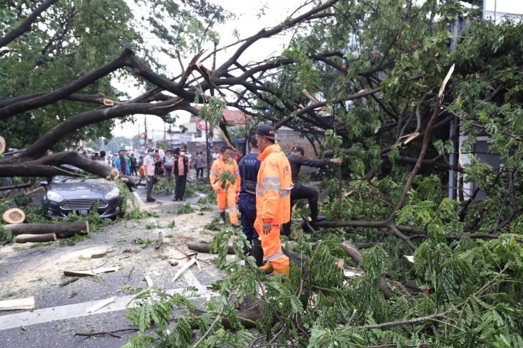 Hujan Deras Disertai Angin Kencang di Kota Tangerang, Warga Luka dan Sejumlah Kendaraan Rusak Tertimpa Pohon