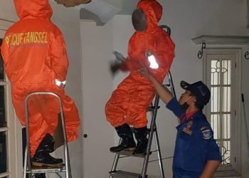 Sarang Tawon Berukuran Jumbo Bertengger di Rumah Warga Bintaro