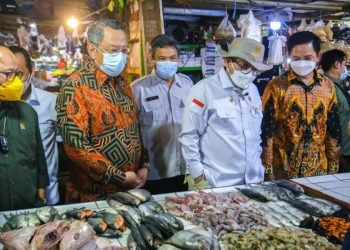 Wali Kota Benyamin Davnie Dampingi Wamentan Harvick Hasnul Qolbi Sidak Pasar Serpong