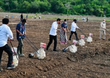 Presiden Dorong Pemanfaatan Teknologi Sistem Pertanian di NTT