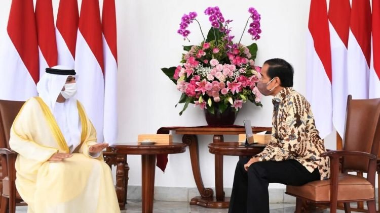 Presiden Jokowi Terima Delegasi Persatuan Emirat Arab