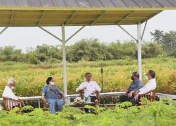 Presiden: Rehabilitasi Lahan Kritis Dimulai dari Pembangunan Persemaian