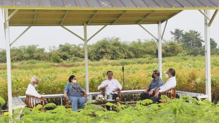 Presiden: Rehabilitasi Lahan Kritis Dimulai dari Pembangunan Persemaian